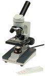 microscope